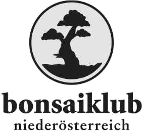 1. NÖ Bonsaiklub